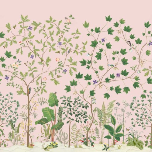 Sycamore And Oak 217213